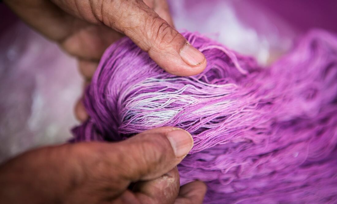 Cotton threads dyed with rock snail fluids – Photo: Mario Arturo Martínez/EL UNVIERSAL