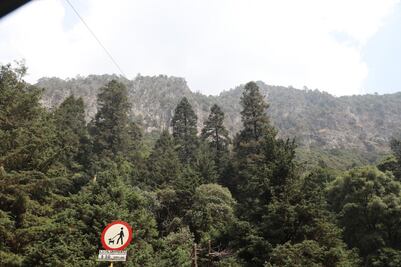 Autoridades refuerzan vigilancia en zona de Los Dinamos; buscan combatir tala ilegal y asentamientos irregulares