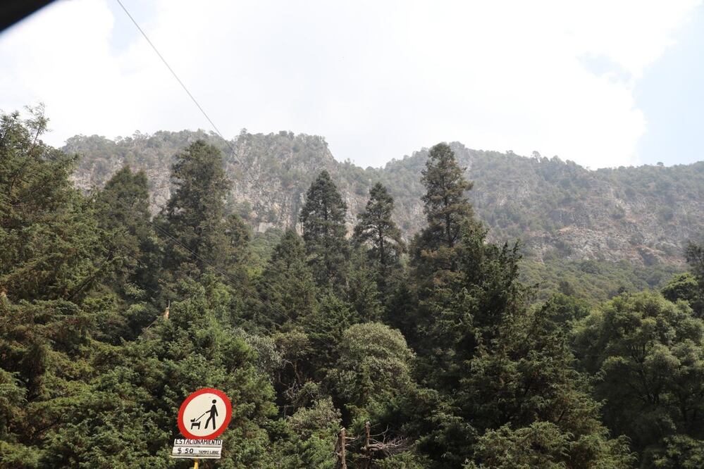 Autoridades federales y locales intensificaron los recorridos de vigilancia y ordenamiento en Los Dinamos, ubicado en la alcaldía Magdalena Contreras, para combatir irregularidades como la tala ilegal y asentamientos irregulares. (Foto: especiales)