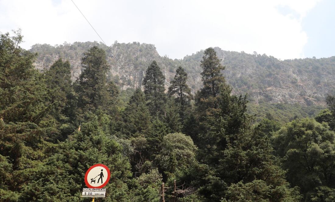 Autoridades federales y locales intensificaron los recorridos de vigilancia y ordenamiento en Los Dinamos, ubicado en la alcaldía Magdalena Contreras, para combatir irregularidades como la tala ilegal y asentamientos irregulares. (Foto: especiales)