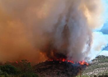 Gobierno de Tlaxcala declara contingencia ambiental por incendios forestales; reportan calidad del aire “extremadamente mala”