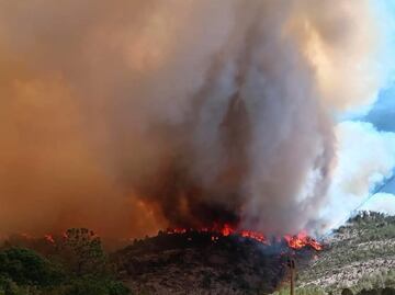 Gobierno de Tlaxcala declara contingencia ambiental por incendios forestales; reportan calidad del aire “extremadamente mala”