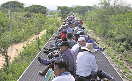 Proyecto UNAM: Universitario asume presidencia de órgano humanitario de la ONU