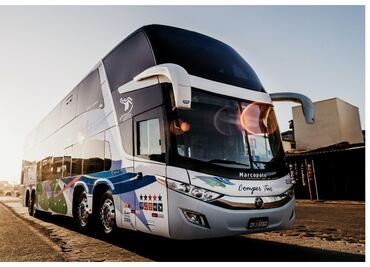 Semana Santa: quiénes tienen descuento en boletos de autobús