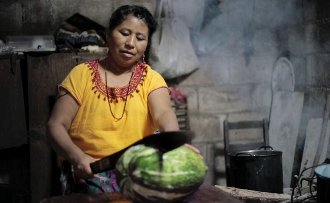 El Zócalo capitalino, la Cineteca de las Artes, diversas sedes de la República y streaming son algunas de las opciones para disfrutar de la Muestra de Cine de los Pueblos Originarios y Afrodescendientes.