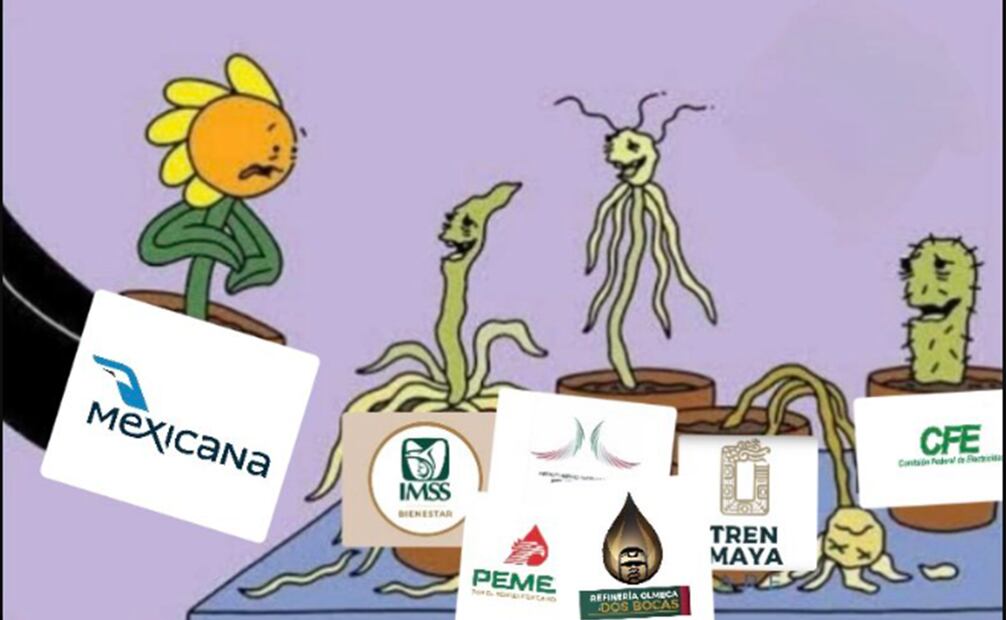 Memes Mexicana de Aviación. Foto: Captura de pantalla