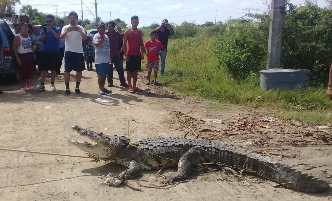 Foto: cortesía El Ordenador