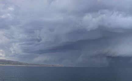 En videos, así fue la llegada de "Olaf" a BCS