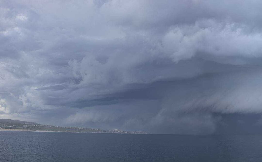 Videos de la llegada de Olaf a BCS