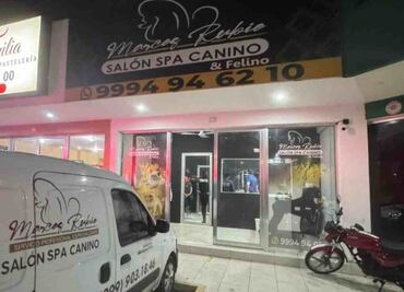 Perrito muere asfixiado por negligencia en estética canina de Mérida