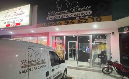 Perrito muere asfixiado por negligencia en estética canina de Mérida