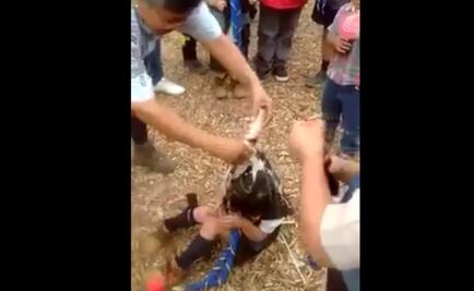 PGJEM y DIF investigan maltrato a niña scout