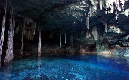 ¿Cómo impactaría el Tren Maya en los cenotes?