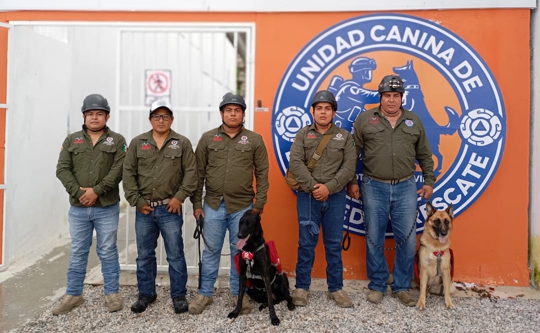 La Secretaría de Protección Civil informó que se ha activado la Unidad Canina de Búsqueda y Rescate para localizar a la persona. Foto: Especial