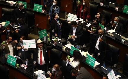 Marihuana: la polémica entre los derechos humanos y facilitar el consumo