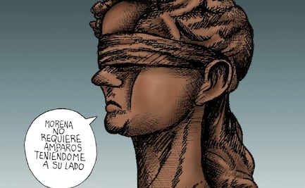 Protectora partidista