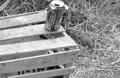 Abandonan cabeza humana dentro de huacal en carretera de Chiapas