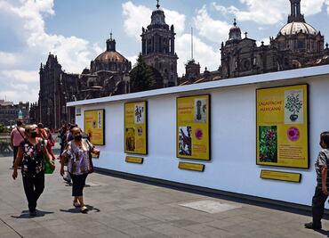 Flores a Huitzilopochtli, más usos y simbolismos