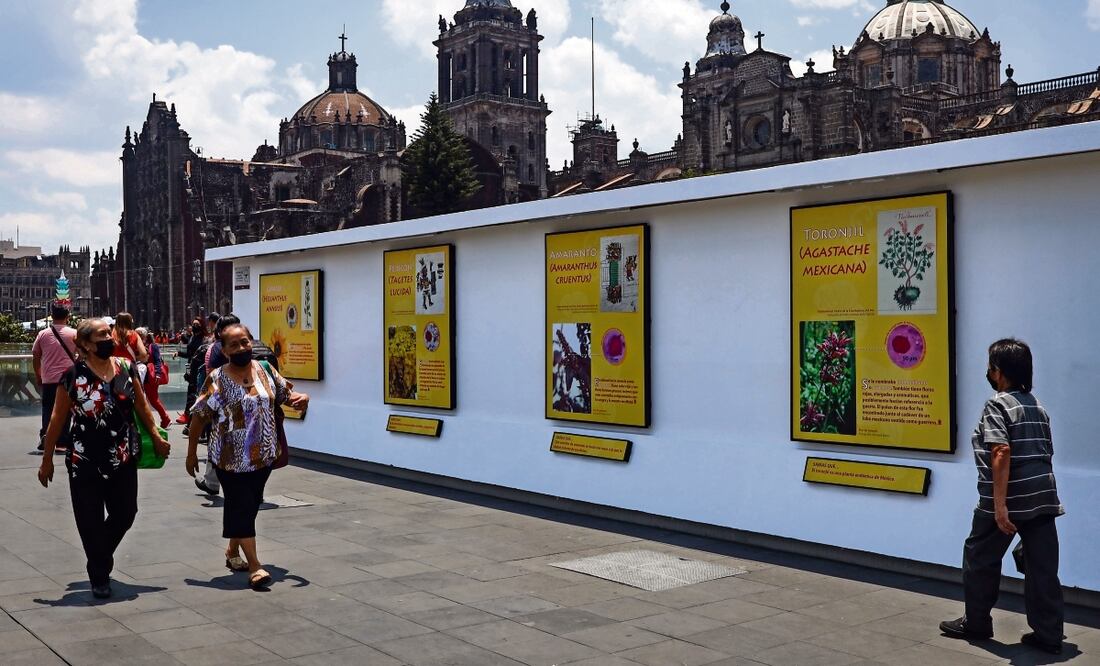 La exposición se ubica en el corredor peatonal de República de Guatemala y República de El Salvador, en el Centro Histórico. Foto: Hugo Salvador/ EL UNIVERSAL