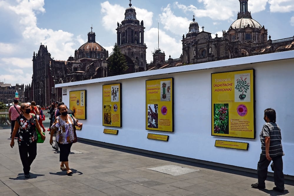 La exposición se ubica en el corredor peatonal de República de Guatemala y República de El Salvador, en el Centro Histórico. Foto: Hugo Salvador/ EL UNIVERSAL