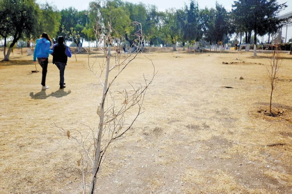 Actualmente se registra desabasto de agua potable en Cuautitlán Izcalli, lo que afecta sobre todo a comunidades ubicadas al sur (JUAN MANUEL BARRERA. ELUNIVERSAL)