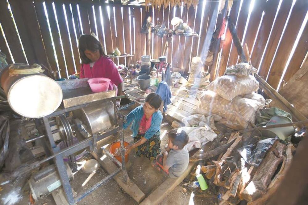 La caída del precio de la goma del opio ha provocado estragos en cientos de pueblos de Guerrero que tenían como sustento los cultivos de amapola. Foto: SALVADOR CISNEROS