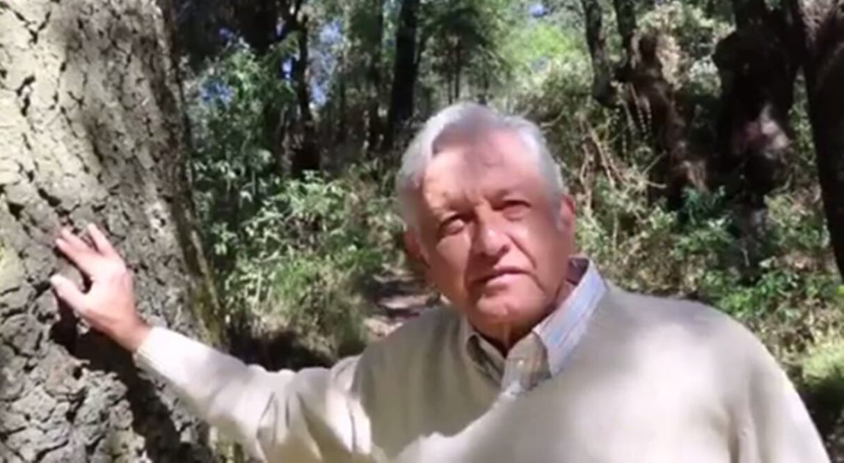 Foto: Tomada de video