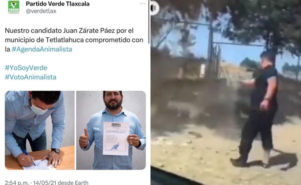 El agresor del animal fue candidato del Partido Verde Ecologista de México (PVEM), a la presidencia municipal de Santa Isabel Tetlatlahuca, en 2021, año en el que, incluso firmó una “agenda animalista”. Foto: Especial