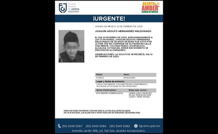 Localizan con vida en Hidalgo a niño de 8 años desaparecido en CDMX