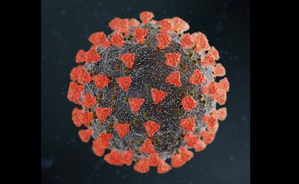 Investigadores del Cinvestav buscan optimizar proteína del SARS-CoV-2 para conocer su funcionamiento