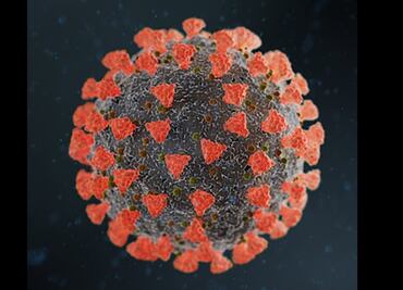 Investigadores del Cinvestav buscan optimizar proteína del SARS-CoV-2 para conocer su funcionamiento