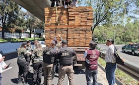 Aseguran tráiler con 57.84 metros cúbicos de madera presuntamente ilegal en Tlalpan; detienen al conductor
