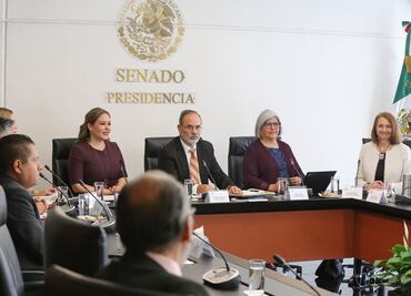 Secretaría de Economía urge a reformar código penal para cumplir con T-MEC