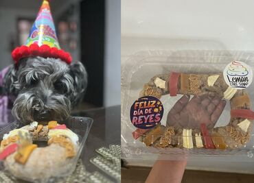 ¡De pelos! Crean adorable Rosca de Reyes para perritos; ¿dónde comprarla?