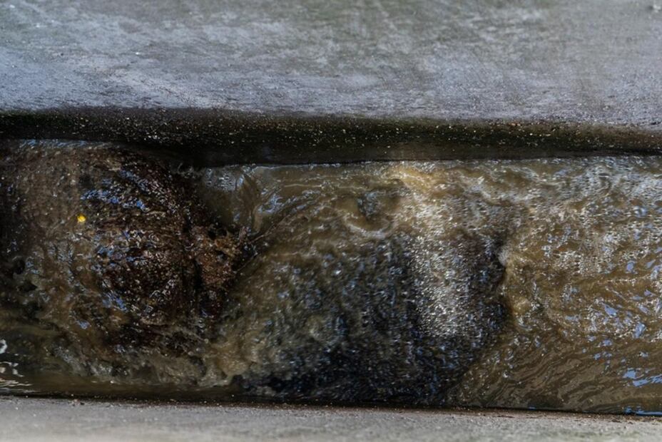 Así lucen los costales con cascarón de huevo instalados en una planta de tratamiento después de que los metales pesados son absorbidos. Foto: Ulises Martínez