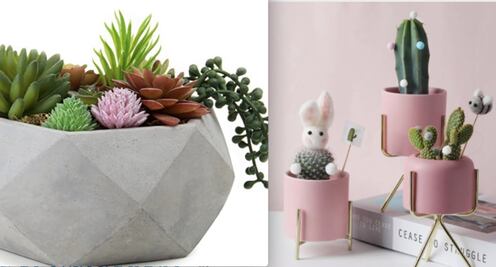 Las mejores macetas para decorar tu casa con suculentas