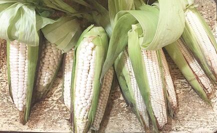 Grupo armado roba bodega de maíz en Sinaloa