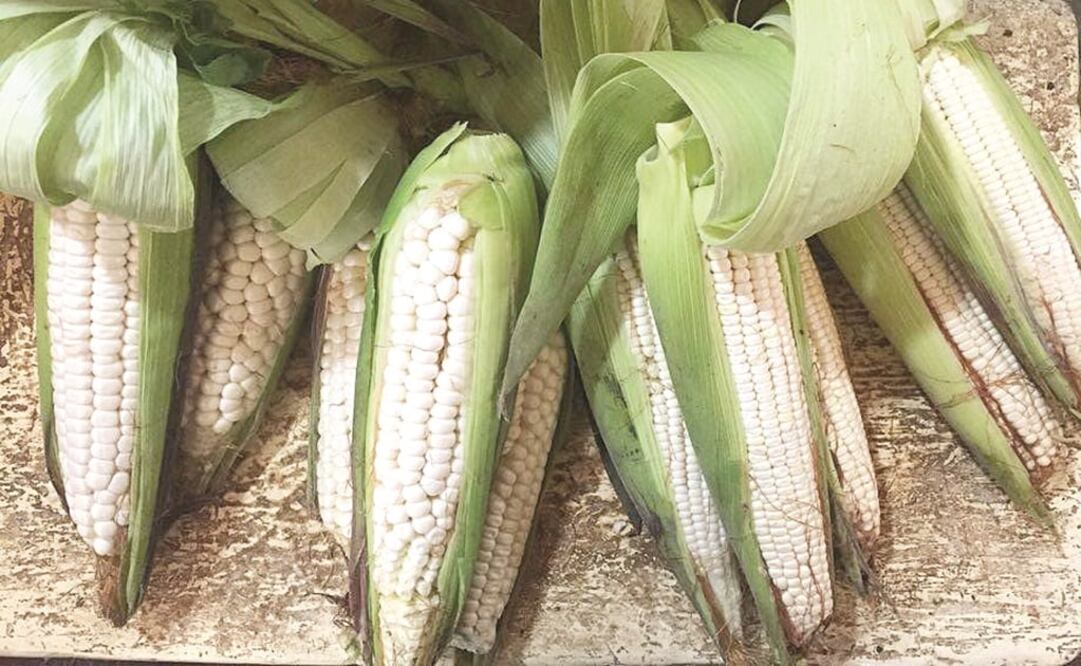 El grupo armado cargó dos camionetas de la empresa con costales de semillas de maíz (Foto: Archivo/El Universal)