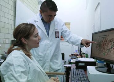 Científicos del IPN desarrollan fármacos para tratar cáncer de mama