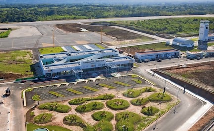 Controlarán venados en aeropuertos de Sedena; lanza licitación para manejo de fauna silvestre
