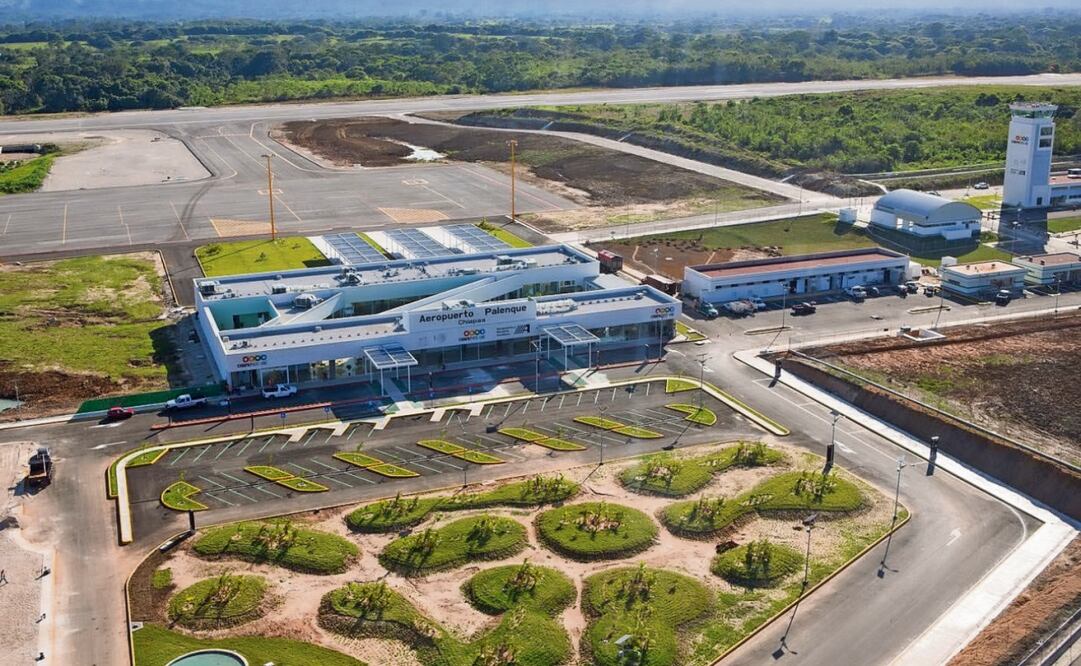 La zona del Aeropuerto Internacional de Palenque está dentro de pastizales y cultivos de temporal, además de cuerpos de agua que propician la permanencia de los venados. Foto: Especial