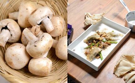 Regalo de la naturaleza