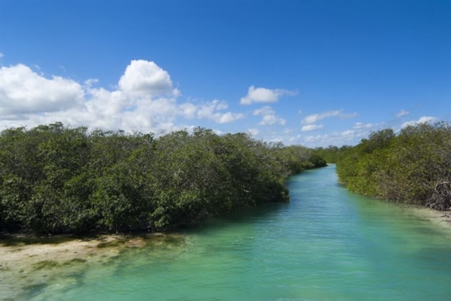 Sian Ka’an: playas y cenotes en esta reserva de Quintana Roo