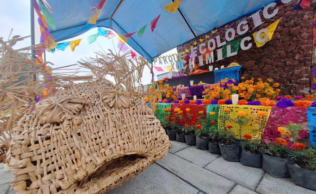 Anuncian actividades por Día de Muertos en el Parque Ecológico de Xochimilco y el Museo Chinampaxóchitl (20/10/2025). Foto: Especial