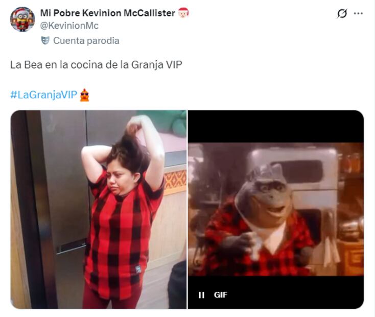Memes de La Granja VIP. Foto: X