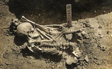 Descubren los restos del "primer" ataque de tiburón a un hombre; datan de hace 3 mil años