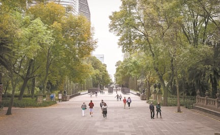 Plagio, casualidad e improvisación, así describen al Proyecto Chapultepec