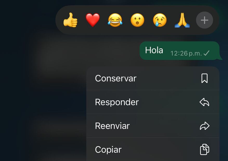 Mensajes temporales de WhatsApp. Foto: Captura de pantalla