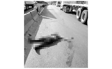 Atropellan a presunto asaltante en la Naucalpan-Toluca