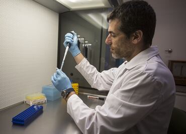 Lejos la clonación de humanos, asegura científico de la UNAM; sólo alcanza 10% de éxito